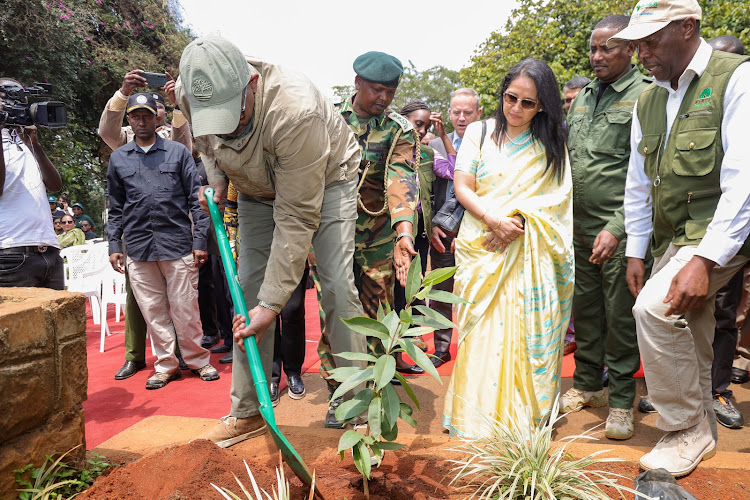 Aden Duale and Indian High Commissioner plant 3,000 trees